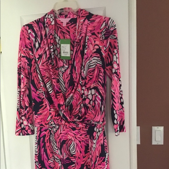 Lilly Pulitzer Felizia Silk Dress - Picture 1 of 2